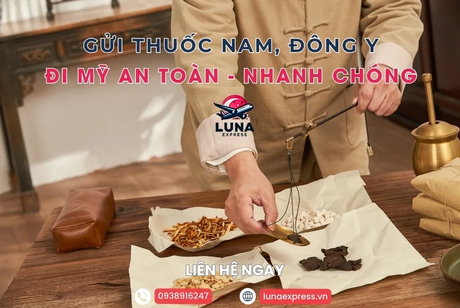 GỬI THUỐC NAM ĐI MỸ NHANH CHÓNG