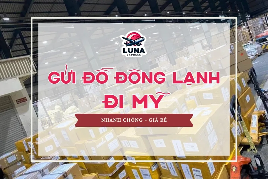 Gửi đồ đông lạnh đi Mỹ an toàn giá rẻ