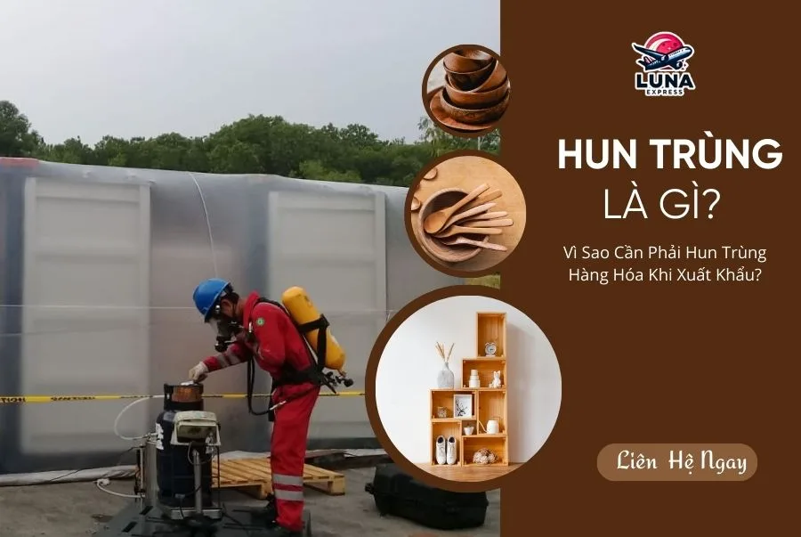 Vì sao cần hun trùng hàng hóa khi xuất khẩu